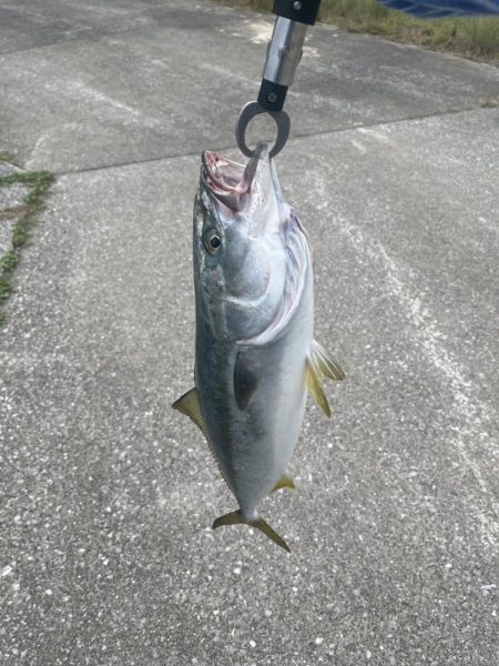 津久見　保戸島