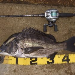 強風下でも出た