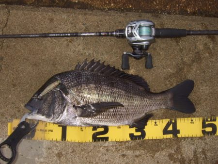 強風下でも出た