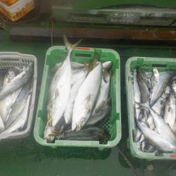 サワラキャスティング爆釣〜タツ建丸〜