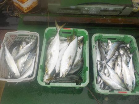 サワラキャスティング爆釣〜タツ建丸〜