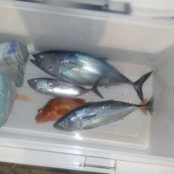 完全フカセ第2戦〜倉丸〜