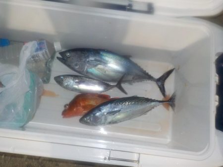 完全フカセ第2戦〜倉丸〜