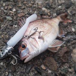 底物を調査してみた