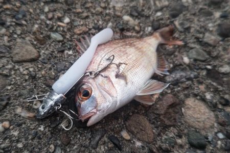 底物を調査してみた