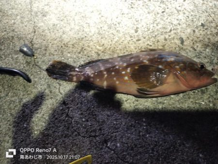 久しぶりの淡路島