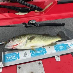 ディープホール55cm