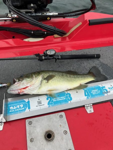 ディープホール55cm