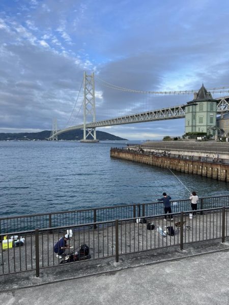 サビキの時期終了の使い現る