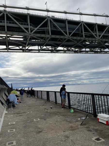 サビキ　冬の季節