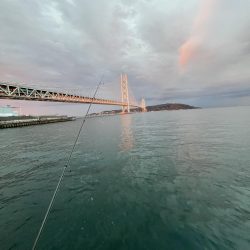 まだギリギリアジと遊ぶ