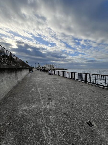 まだサビキはいけるはず‥