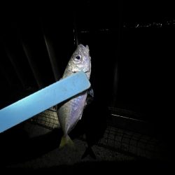 釣果も天気も寒い