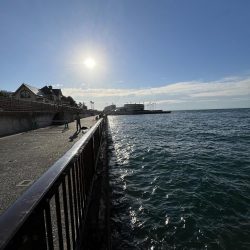 まサピキはは釣れそう？！