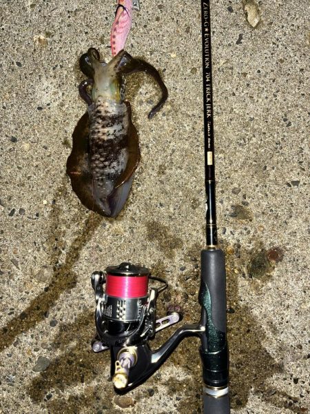 仕事帰りエギング①