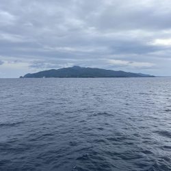 エギング 佐渡遠征④