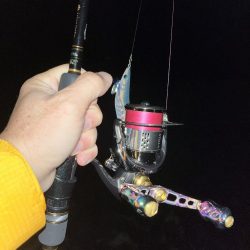 エギング 新潟市内ホーム釣行