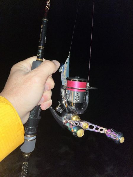 エギング 新潟市内ホーム釣行