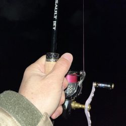 仕事帰りエギング②