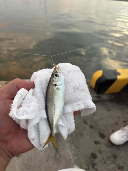 たかたかの釣り日記