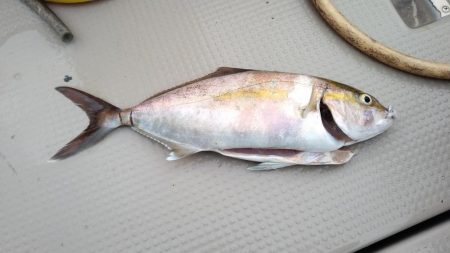 日本海ジギング