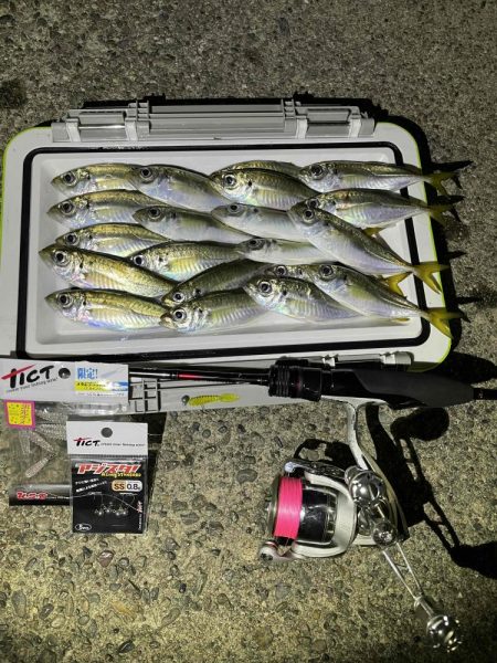 台風前にアジング調査　