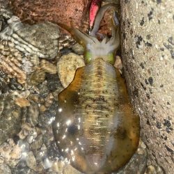 やっぱり難しい！