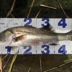 忍者ドリフトで水面炸裂