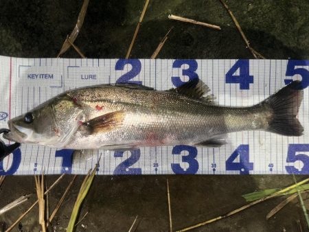 忍者ドリフトで水面炸裂