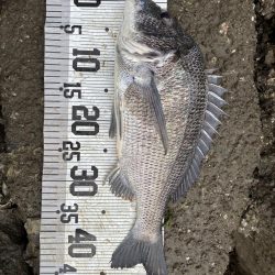 イチノ兄弟、釣果!