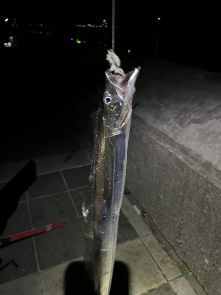 タチウオの食い込み悪いので一工夫