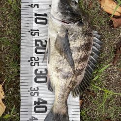 イチノ兄弟、釣果!