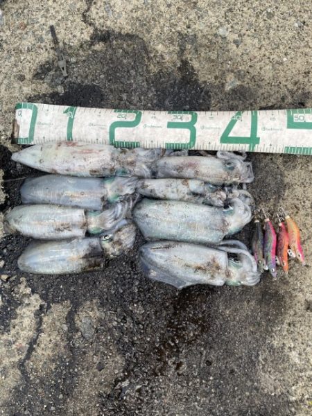 2025 佐渡ヶ島エギング Vol.21【9月30日】