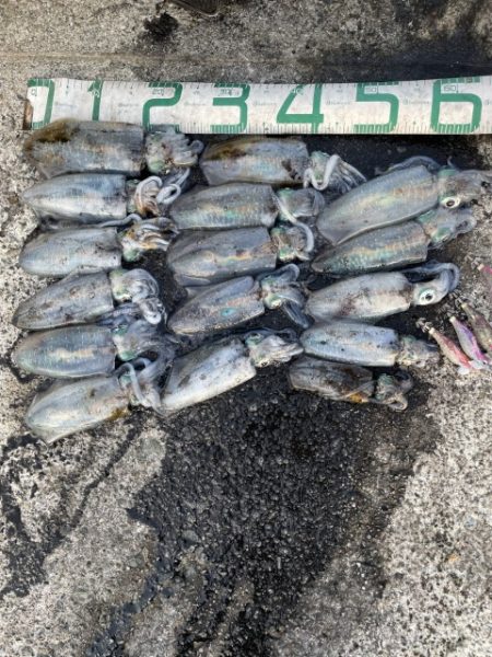 2025 佐渡ヶ島エギング Vol.23【10月3日】