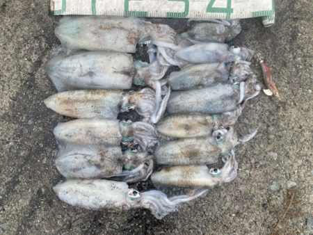 2025 佐渡ヶ島エギング Vol.29【10月12日】