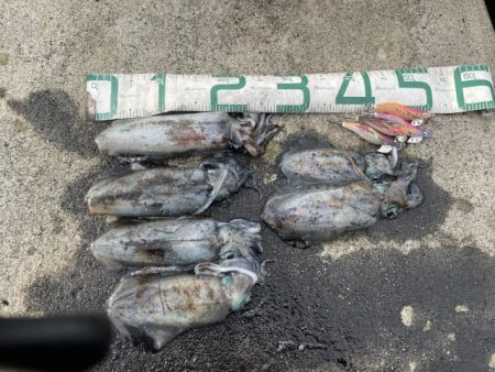 2025 佐渡ヶ島エギング Vol.33【10月18日】