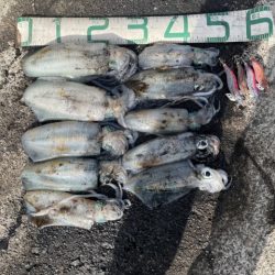 2025 佐渡ヶ島エギング Vol.39【10月25日】