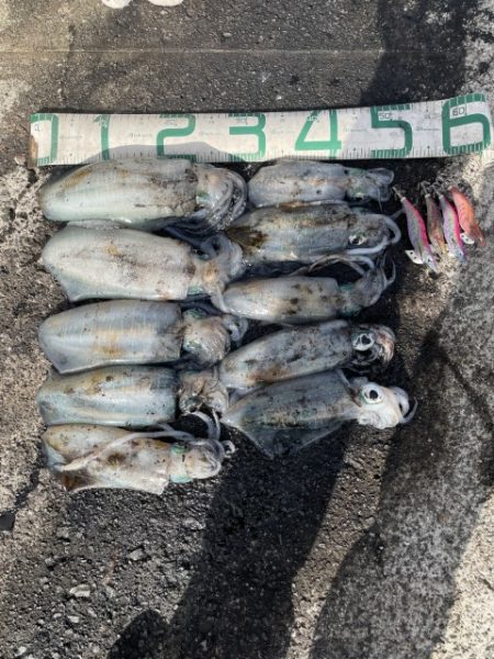 2025 佐渡ヶ島エギング Vol.39【10月25日】