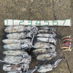 2025 佐渡ヶ島エギング Vol.40【10月26日】