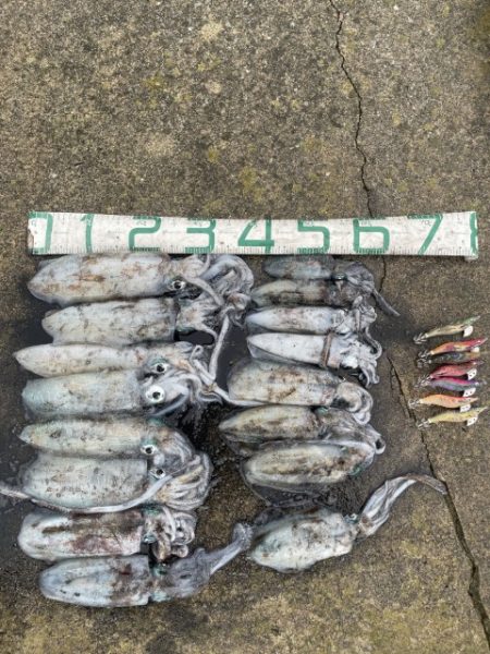 2025 佐渡ヶ島エギング Vol.40【10月26日】