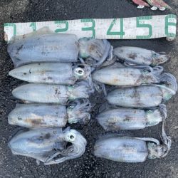 2025 佐渡ヶ島エギング Vol.41【10月27日】