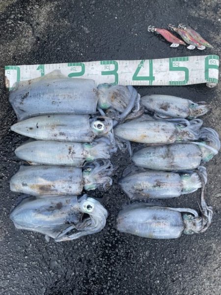 2025 佐渡ヶ島エギング Vol.41【10月27日】