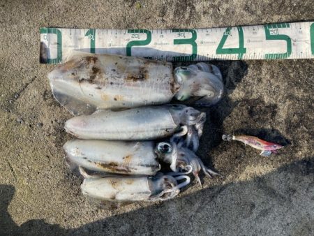 2025 佐渡ヶ島エギング Vol.42【10月29日】