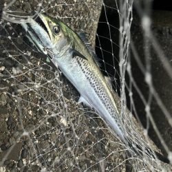 ライトショアジギング