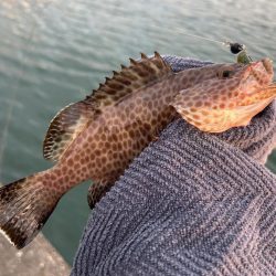 ランガン？しました