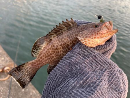 ランガン？しました