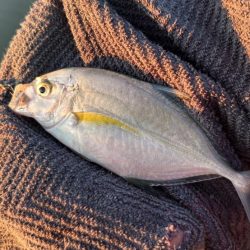 帰ってきたメッキ！４種コンプリート！