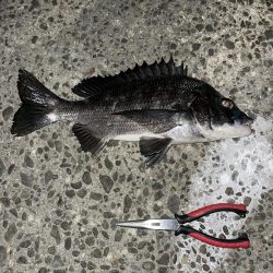 寒かったけど何とか...