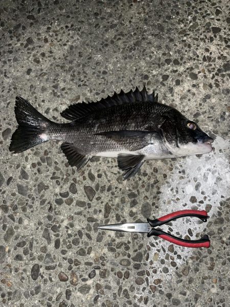 寒かったけど何とか...