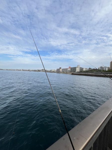 久しぶりのウリボウ